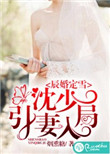《辰婚定雪：沈少引妻入局》封面