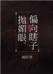《偏向瞎子抛媚眼》封面