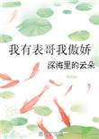 《我有表哥我傲娇》封面
