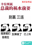 《辛有所属：总裁的祸水前妻》封面