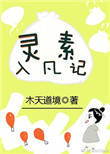 《灵素入凡记》封面