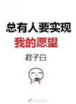 《总有人要实现我的愿望》封面