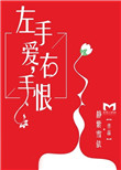 《左手爱，右手恨》封面
