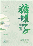 《糖罐子[重生]》封面