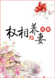 《权相养妻日常》封面