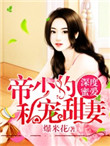 《深度蜜爱：帝少的私宠暖妻》封面
