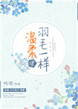 《温柔像羽毛一样》封面