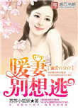 《蜜爱百分百：暖妻别想逃》封面