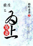 《重生之宠妻为上》封面