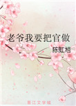 《老爷我要把官做》封面