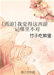 《[西游]我觉得这西游记哪里不对》封面