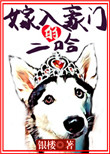 《嫁入豪门的二哈》封面