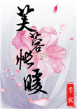 《芙蓉帐暖》封面