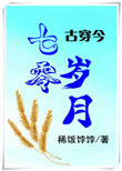 《七零岁月[古穿今]》封面