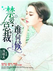 《禁爱总裁难伺候》封面