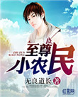 《至尊小农民》封面