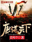 《唐谋天下》封面