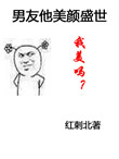 《男友他美颜盛世》封面