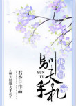 《林大妞驯夫手札》封面