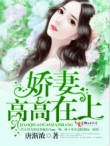 《娇妻高高在上》封面