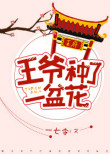 《王爷种了一盆花》封面