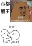 《我怕是离了个假婚》封面