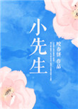 《小先生》封面