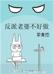 《反派老婆不好做》封面