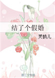 《结了个假婚》封面