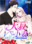 《名门豪娶：大叔VS小妻》封面