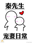 《秦先生宠妻日常》封面