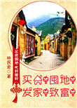 《买房！囤地！发家！致富！》封面