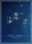 《乘风入梦》封面