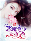 《豪门虐爱：恶魔夜少太撩人》封面