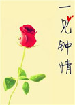 《一见钟情[娱乐圈]》封面