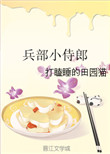 《兵部小侍郎》封面