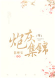 《炮灰集锦[综]》封面