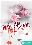 《醉卧伊人怀》封面