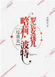 《[综英美]罗宾女孩儿波特》封面