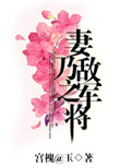 《妻乃敌军之将》封面