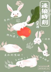 《逢狼时刻》封面