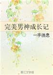 《完美男神成长记》封面