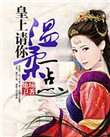 《皇上请你温柔一点》封面