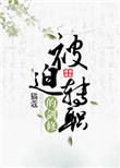 《被迫转职的剑修》封面