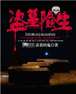 《盗墓险生》封面