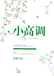 《小高调[娱乐圈]》封面