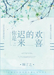 《你是迟来的欢喜》封面