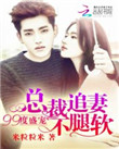 《99度盛宠：总裁追妻不腿软》封面