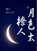 《月色太撩人》封面