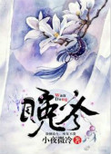 《晚冬》封面